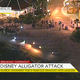 Authorities searched throughout the night June 14, 2016, hoping to find signs of a 2-year-old boy who was dragged underwater by an alligator at an Orlando, Fla., Disney resort.
CBS News Video Screenshot